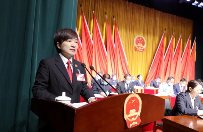 卢氏法院院长王亚萍在县十五届人大三次会议上作法院工作报告